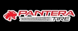 Pantera logo