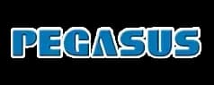 Pegasus logo