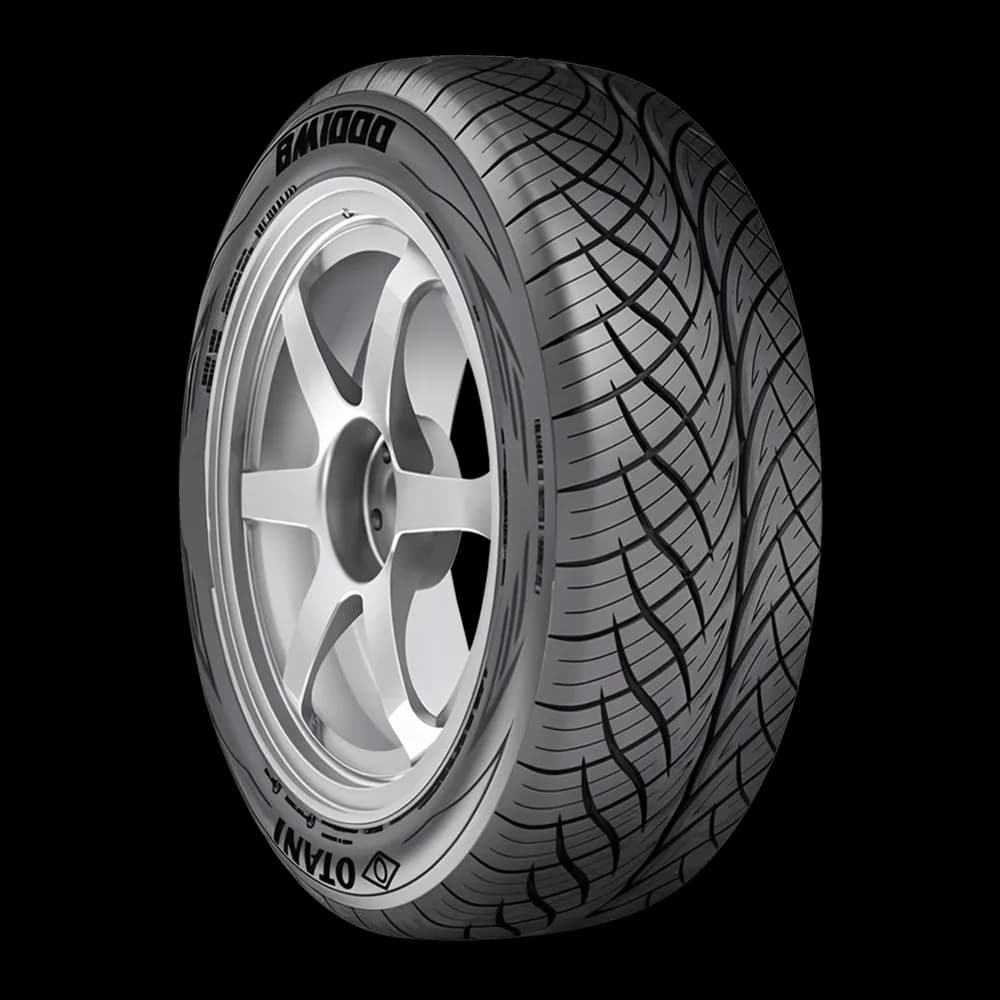 265/35R18 XL Otani BM1000