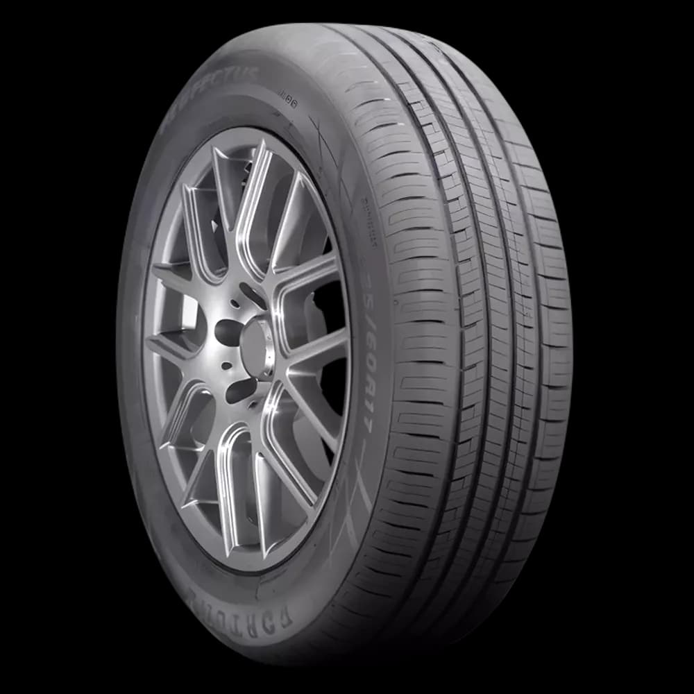 225/60R16 Fortune Perfectus FSR602