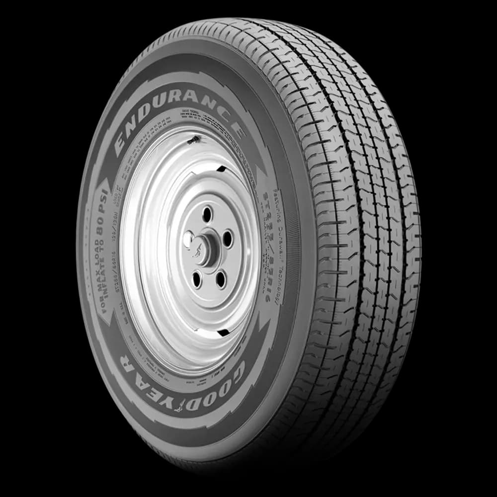 Goodyear Endurance